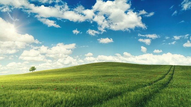 114學年度第2學期友達永續基金會【友達永續素養獎學金】